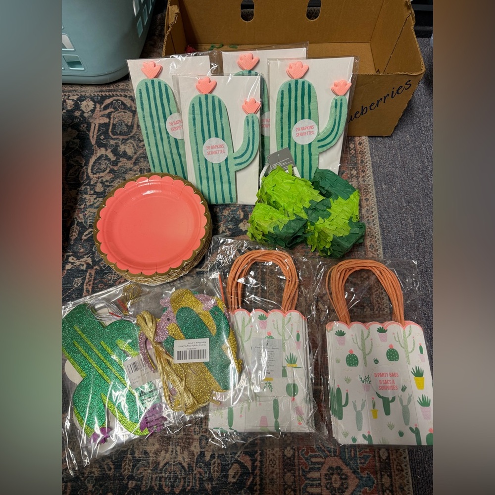 Cactus Party Supplies Set - Green and Pink